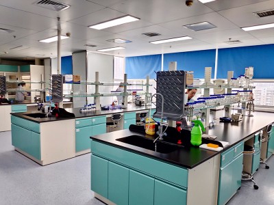 Как да предотвратим гастроинтестиналния оток на свинята?